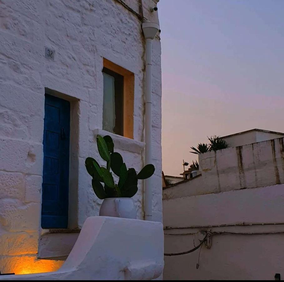 Apartment White Dream *